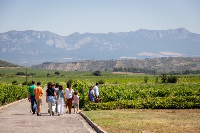 Exclusive visit to the winery